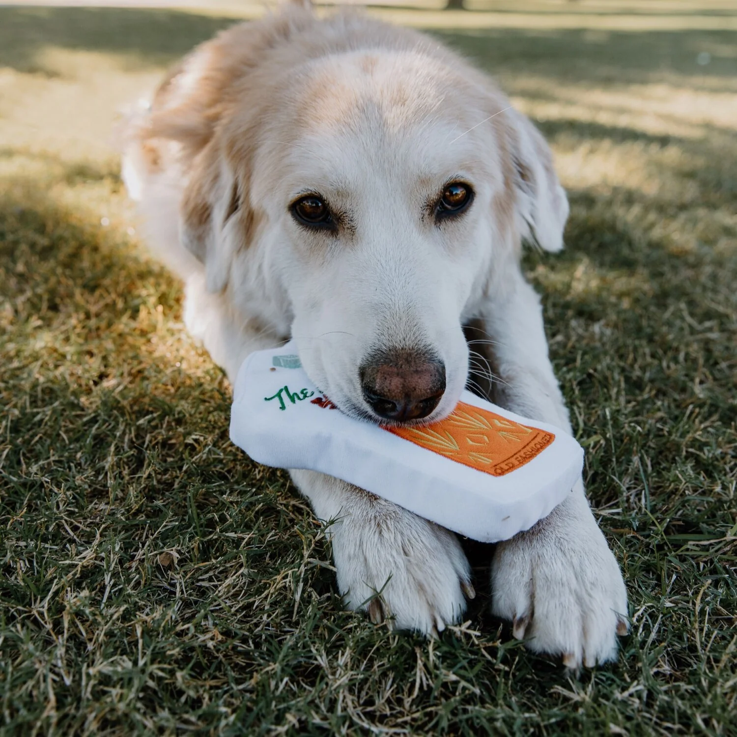 Dog Friendly Old Fashioned - Image 3